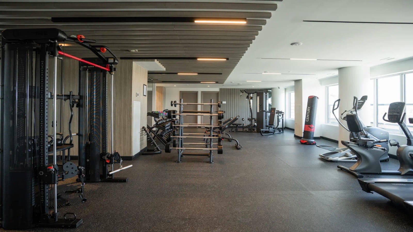 Fitness centre with cardio machines and a strength rack.
